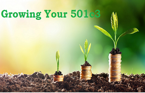 Tips For Growing Your 501c3 Organizationa